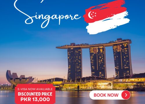 🌍 Singapore E-Visa Deal ( PER PERSON )